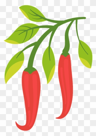 Chili Pepper Clipart - Chile Pepper Clipart - Png Download
