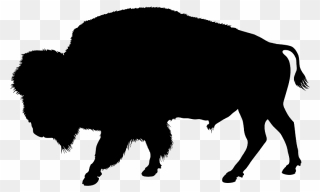 Buffalo Silhouette Png Clipart
