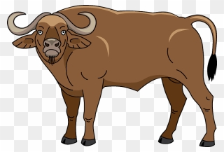 Buffalo Clipart - Png Download