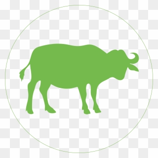 Big 5 Safari Sticker Buffalo - Cattle Clipart