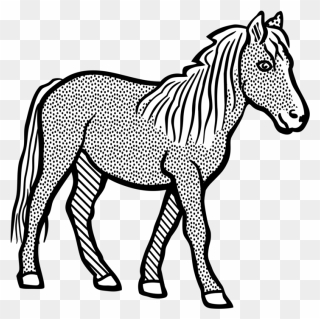 Pony,horse Tack,colt Png Clipart - Clip Art Black And White Horse Transparent Png