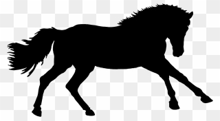 Pferd Silhouette - Mane Clipart