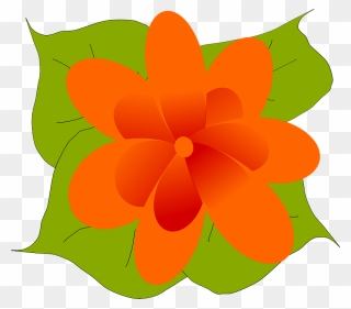 Flower3 Clipart - ดอกไม้ การ์ตูน สี ส้ม - Png Download