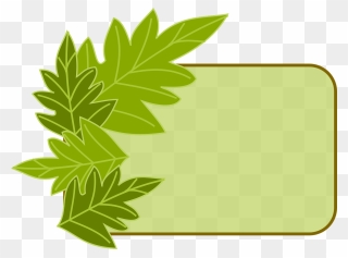 Transparent Herbal Clipart - Eco Frame - Png Download