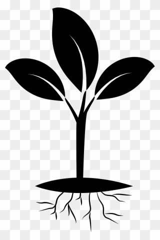 Free Plant Roots Png Seedling Black And White- - Seedling Clipart Black And White Transparent Png