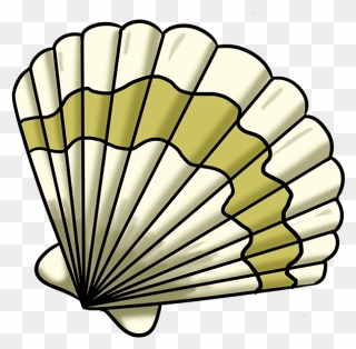 How To Draw Seashell - Easy Simple Shell Drawing Clipart