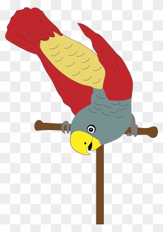 Clipart Perch - Png Download