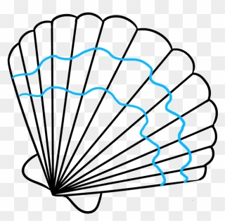 How To Draw Seashell - Easy Drawings Of Seashells Clipart