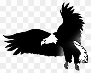 Eagle On Basketball Clipart Picture Library Download - Eagle Black And White Drawing - Png Download