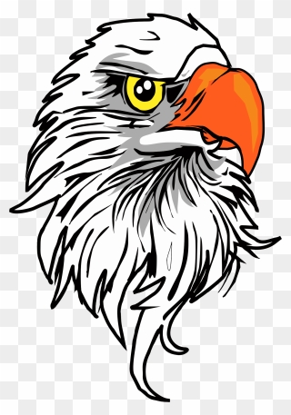 Bald Eagle Clipart Eagle Eye - Eagle Head Vector Free - Png Download