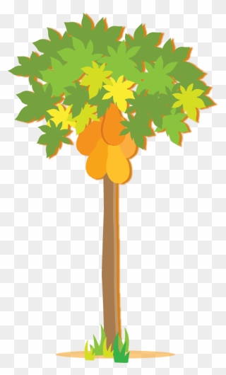 Papaya Tree Clip Art - Png Download