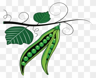 Green Peas - Peas Clipart - Png Download