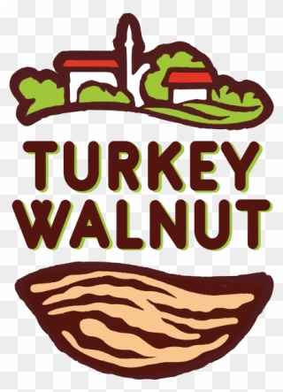 شعار الخطوط التركية Clipart