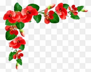Poppy Flower Frame Png Picture - Bordure Fleur Png Clipart