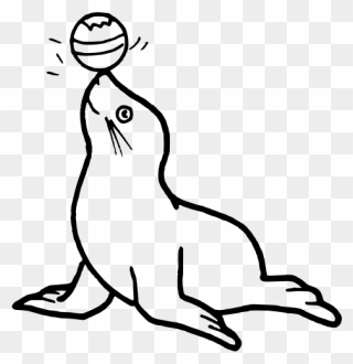 Clip Art Ized Seal Svg - Colouring Pages Of Seal - Png Download