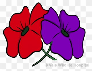 Remembrance Day Purple And Red Poppy Clipart