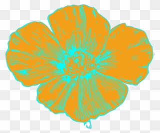 Orange And Blue Poppy Png Images Clipart