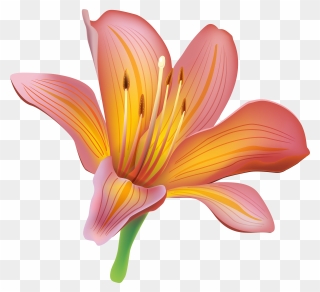 Transparent Flower Emoji Png - Transparent Lily Clipart