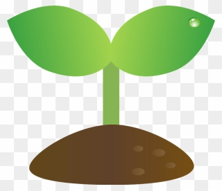 Sprout Plant Clipart - 芽 が 出る イラスト - Png Download