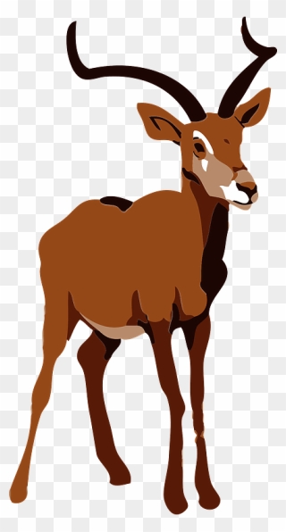 Impala Animal Clipart - Deer - Png Download