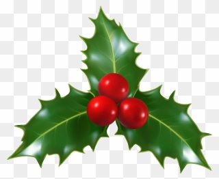 Transparent Holly Berries Png - Transparent Holly Clipart