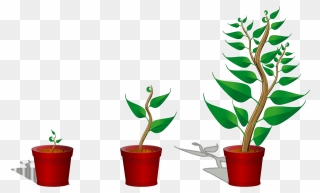 Growing Trees Clip Art, Icon And Svg - Getting To Know Plants - Png Download