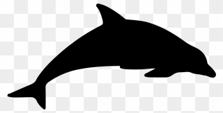 Dolphin Silhouette Png - Transparent Dolphin Silhouette Png Clipart