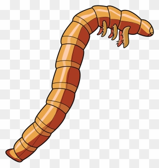 Mealworm Beetle Larva Clipart - Mealworm Clipart - Png Download