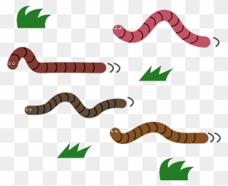 Earthworms Animal Clipart - Earthworm - Png Download