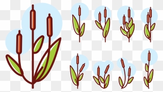 Cattails Icons Vector - Cattail Logo Clipart