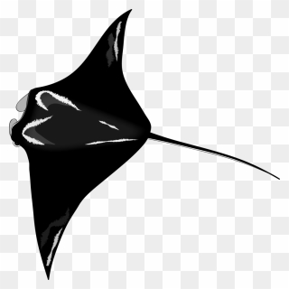 Sharks And Rays Icon Clipart