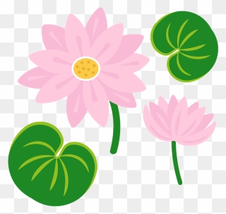 Lily Pad Clipart - Png Download