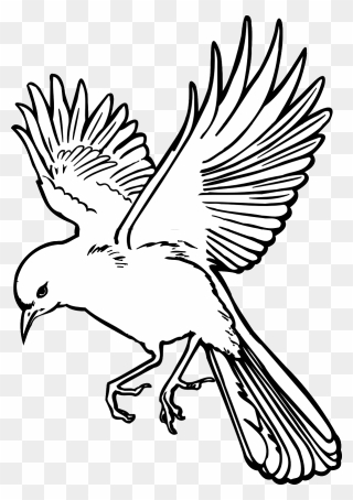 Outline Flying Bird Drawing Clipart