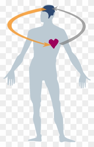 Human Body And Health Png Clipart
