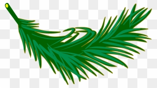 Palm Leaves Clipart - Png Download