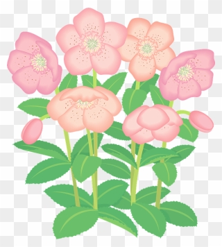 Violet Flower Clipart すみれ 花 イラスト フリー Png Download Full Size Clipart Pinclipart