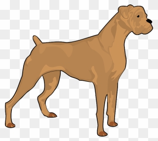 Brown, Dog, Pet, Animal, Mammal, Boxer, Fur, Breed - Boxer Dog Silhouette Clipart