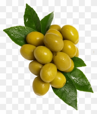 Olive Clipart Transparent Background - Green Olives Png