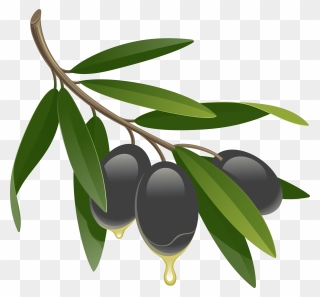 Olives Icon Clipart