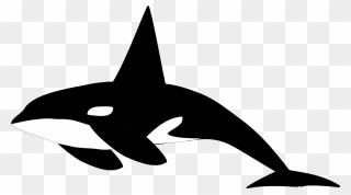 Killer Whale Shamu Clip Art - Orca Clipart Black And White - Png Download