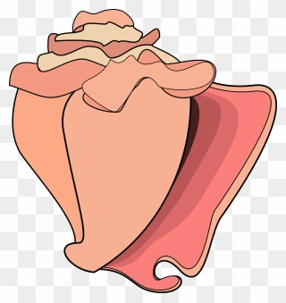 Cartoon Conch Shell Png Clipart