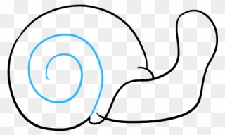 How To Draw Snail - Line Art Clipart