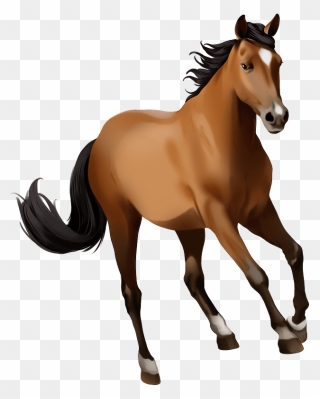 Mustang Mare Clipart - Stallion - Png Download