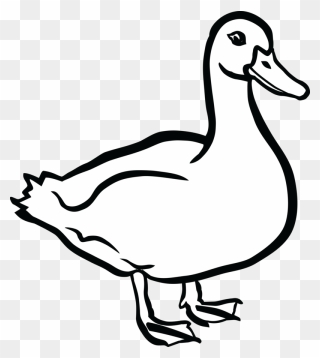 Free Clipart Of A Duck - Duck Black And White Clip Art - Png Download