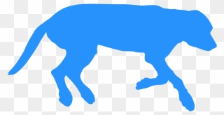 Transparent Clipart - Png Download