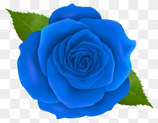 Png Blue Rose Clipart