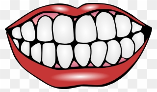 Teeth Clipart - Png Download