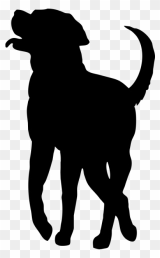 Labrador Retriever Puppy Dog Breed Smooth Collie Rough - Puppy Clipart