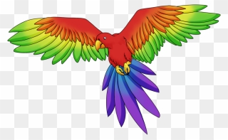 Macaw Clipart Rainbow - Rainbow Parrot Png Transparent Png