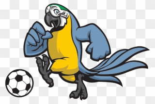 Parrot Clipart Soccer - Macaw - Png Download